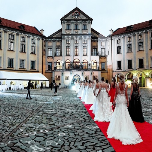 Show of the Papilio FH in Nesvizh Castle.